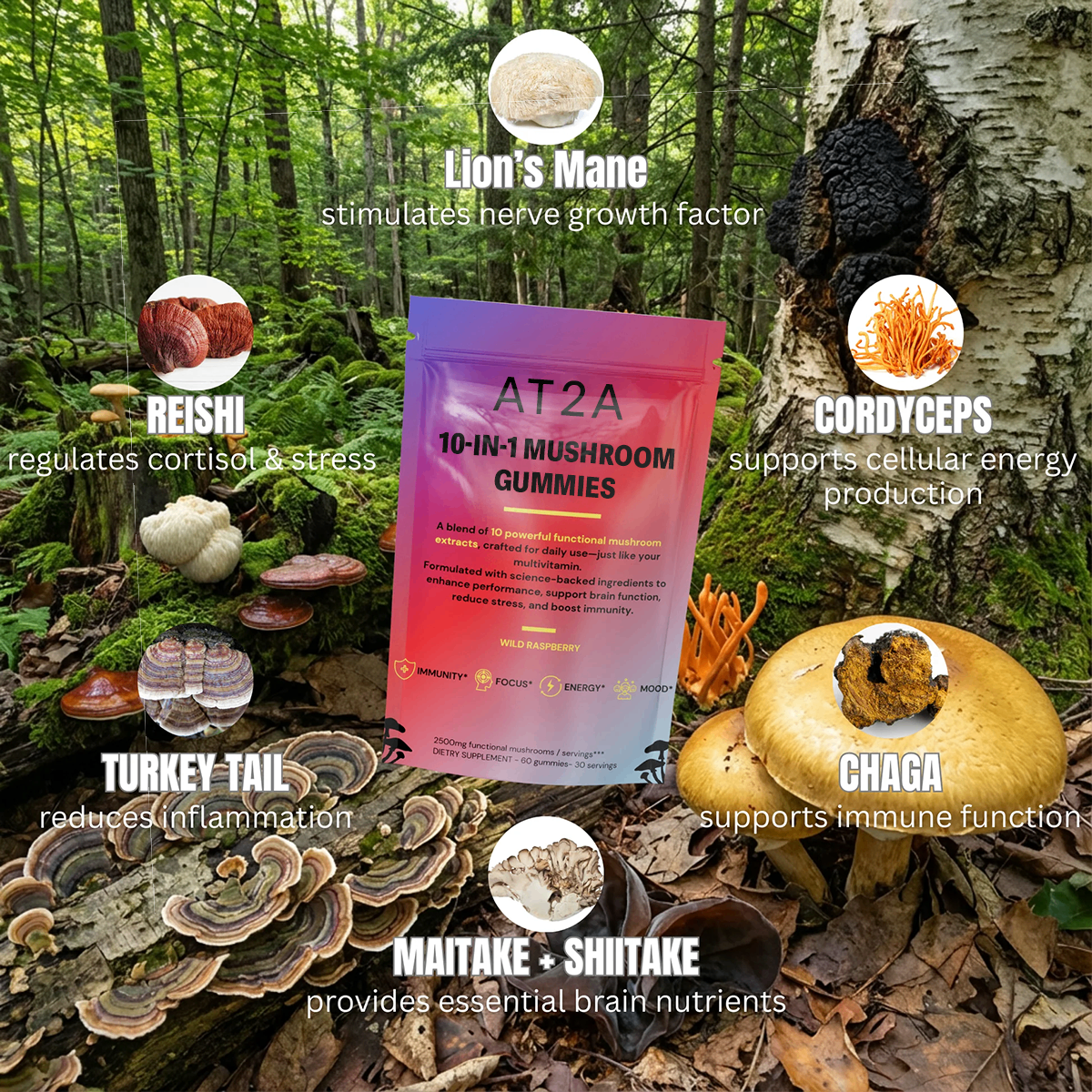 AT2A mushroom ingredients visual